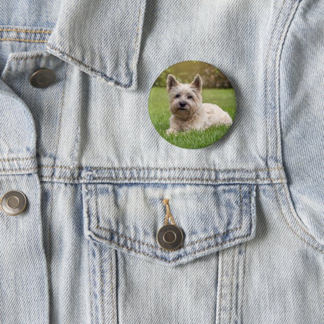 Cutest Baby Animals | Cairn Terrier Dog Button (In Situ)