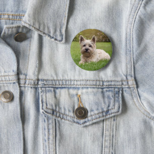 Cutest Baby Animals Cairn Terrier Dog Button
