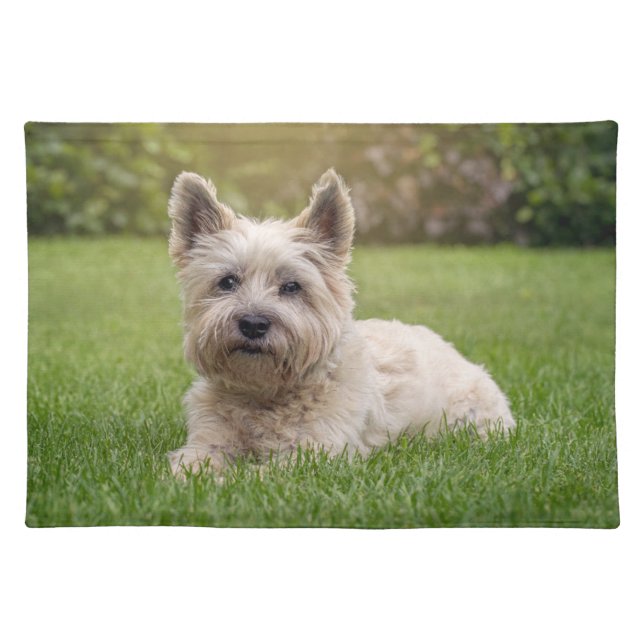 Cutest Baby Animals | Cairn Terrier Dog Cloth Placemat (Front)