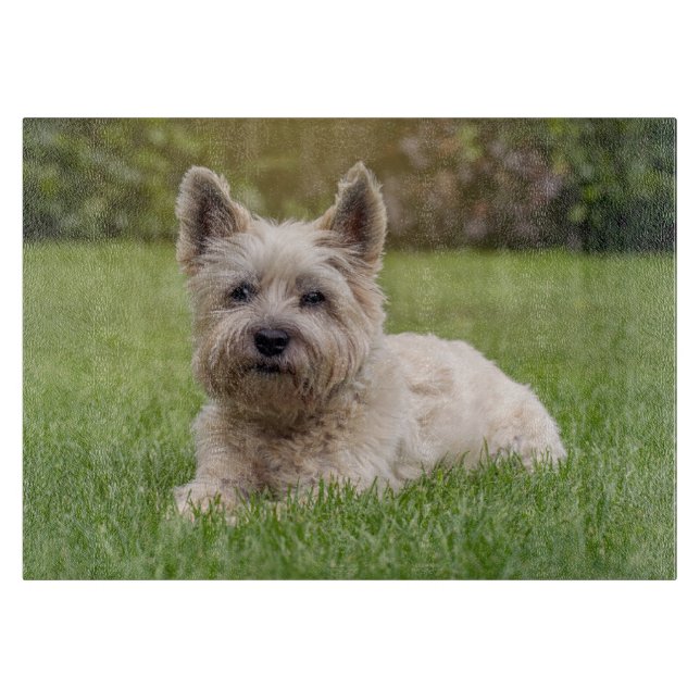 Cutest Baby Animals | Cairn Terrier Dog Cutting Board (Front)