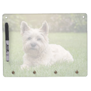 Cutest Baby Animals   Cairn Terrier Dog Dry Erase Board With Keychain Holder