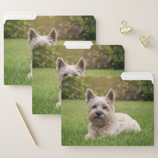 Cutest Baby Animals | Cairn Terrier Dog File Folder (Set)