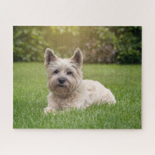 Cutest Baby Animals Cairn Terrier Dog Jigsaw Puzzle