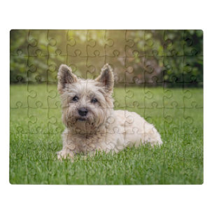 Cutest Baby Animals Cairn Terrier Dog Jigsaw Puzzle