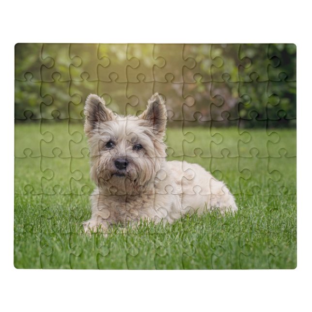 Cutest Baby Animals | Cairn Terrier Dog Jigsaw Puzzle (Puzzle Horizontal)