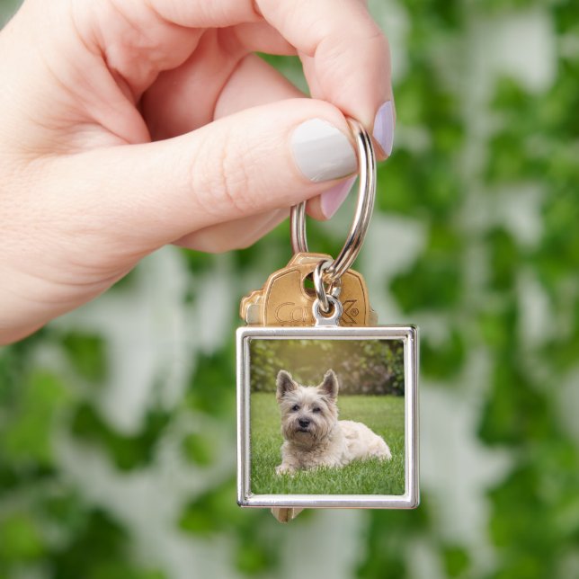 Cutest Baby Animals | Cairn Terrier Dog Keychain (Hand)
