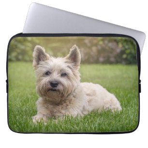 Cutest Baby Animals   Cairn Terrier Dog Laptop Sleeve