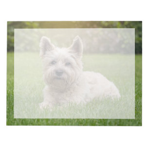 Cutest Baby Animals Cairn Terrier Dog Notepad