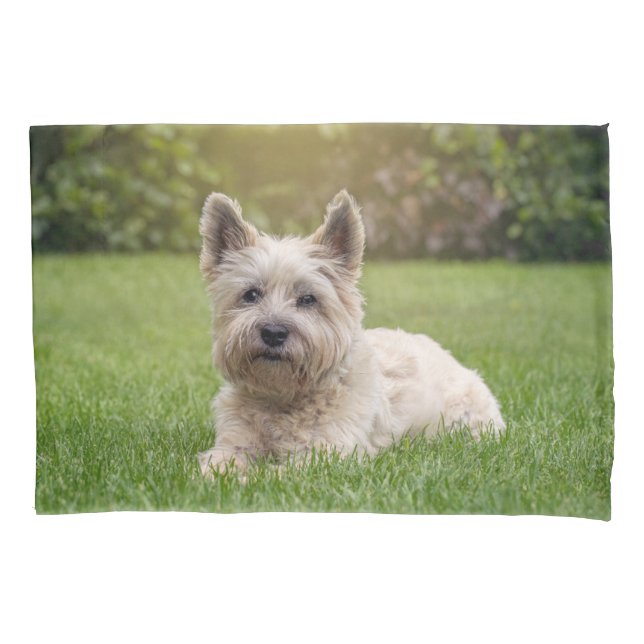 Cutest Baby Animals | Cairn Terrier Dog Pillow Case (Front)