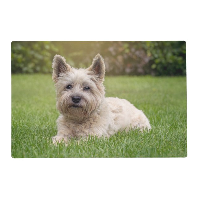 Cutest Baby Animals | Cairn Terrier Dog Placemat (Front)
