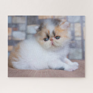 Cutest Baby Animals Calico Persian Kitten Jigsaw Puzzle