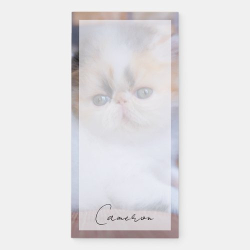 Cutest Baby Animals  Calico Persian Kitten Magnetic Notepad