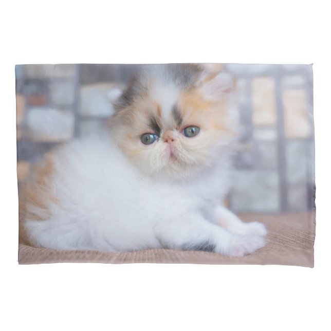 Cutest Baby Animals | Calico Persian Kitten Pillow Case (Front)