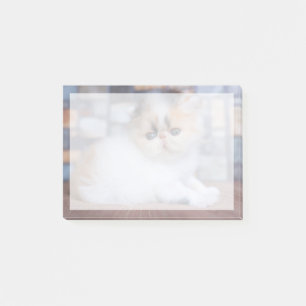 Cutest Baby Animals Calico Persian Kitten Post-it Notes