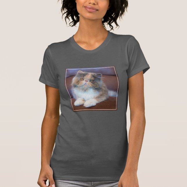 Cutest Baby Animals | Calico Persian Kitten T-Shirt (Front)