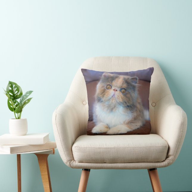 Cutest Baby Animals | Calico Persian Kitten Throw Pillow (Chair)