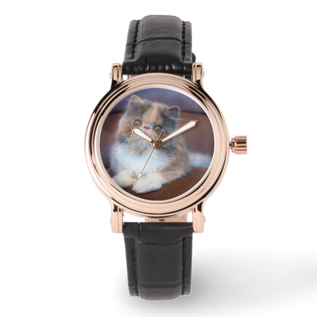 Cutest Baby Animals | Calico Persian Kitten Watch (Front)