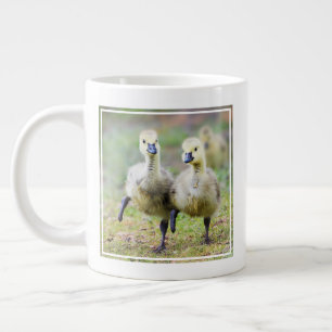Cutest Baby Animals Canadian Goose Goslings Giant Coffee Mug