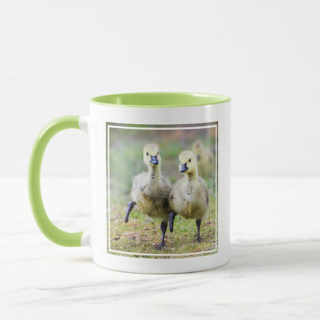 Cutest Baby Animals | Canadian Goose Goslings Mug (Left)