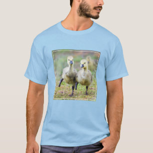 Cutest Baby Animals   Canadian Goose Goslings T-Shirt