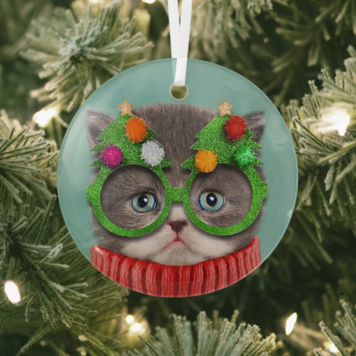 Cutest Baby Animals  Cat Christmas Sweater Glass Ornament