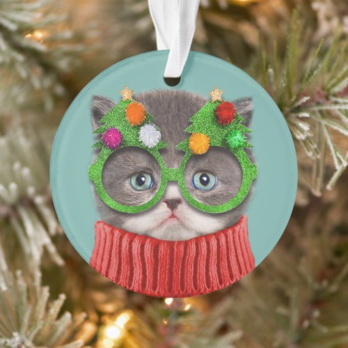 Cutest Baby Animals  Cat Christmas Sweater Ornament