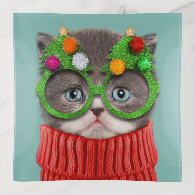 Cutest Baby Animals | Cat Christmas Sweater Trinket Tray (Front)