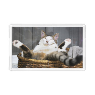 Cutest Baby Animals Cat in Bed Acrylic Tray
