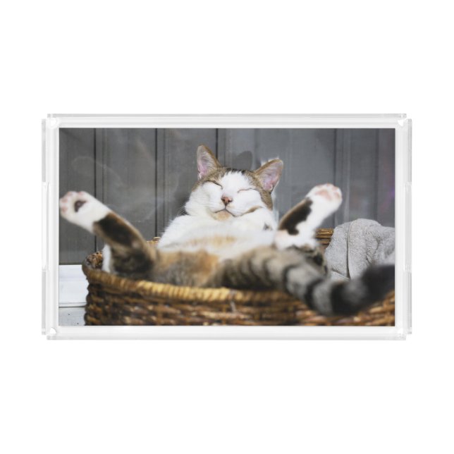 Cutest Baby Animals | Cat in Bed Acrylic Tray (Front)