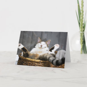 Cutest Baby Animals   Cat in Bed Card