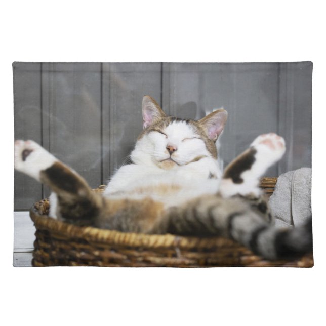 Cutest Baby Animals | Cat in Bed Cloth Placemat (Front)