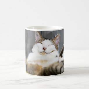 Cutest Baby Animals   Cat in Bed Coffee Mug