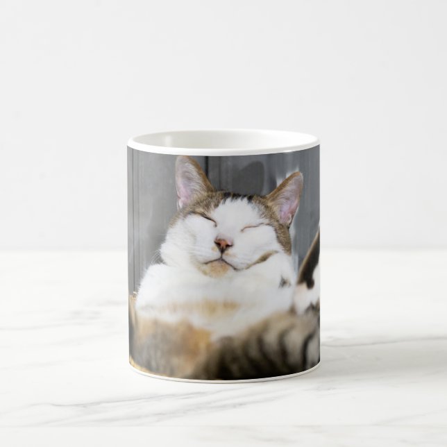 Cutest Baby Animals | Cat in Bed Coffee Mug (Center)