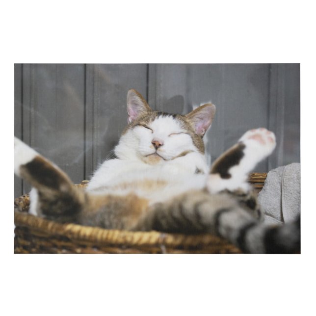 Cutest Baby Animals | Cat in Bed Faux Canvas Print (Front)