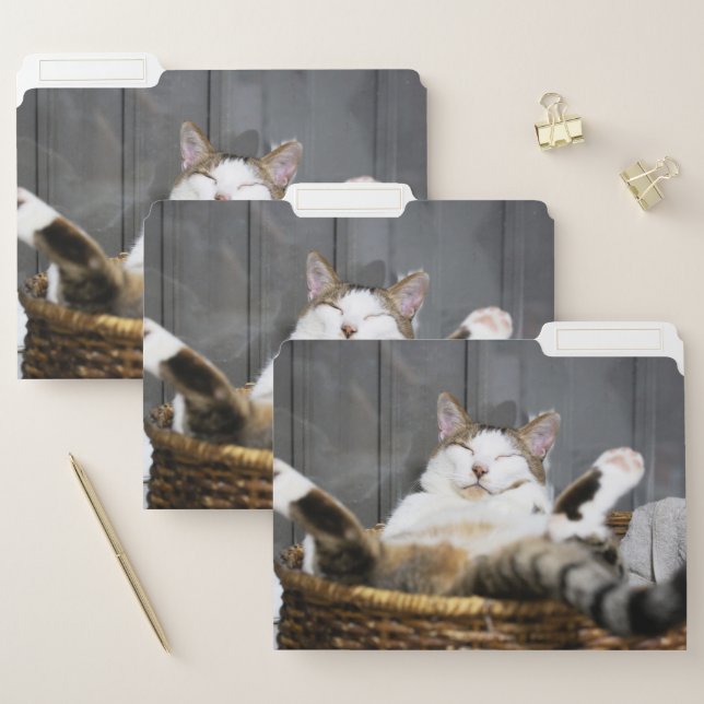 Cutest Baby Animals | Cat in Bed File Folder (Set)