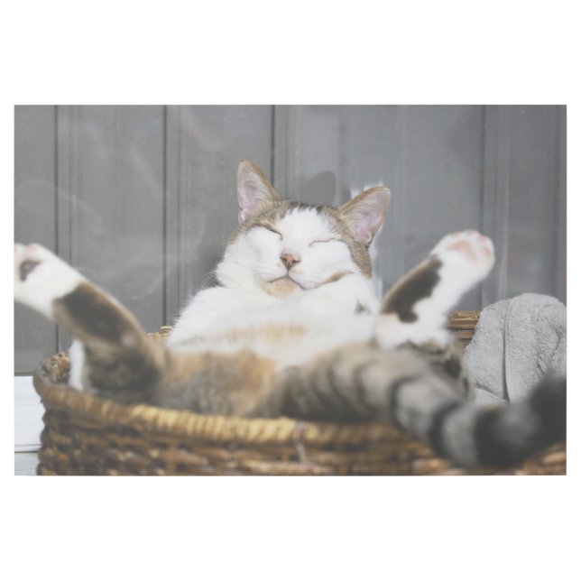 Cutest Baby Animals | Cat in Bed Gallery Wrap (Front)
