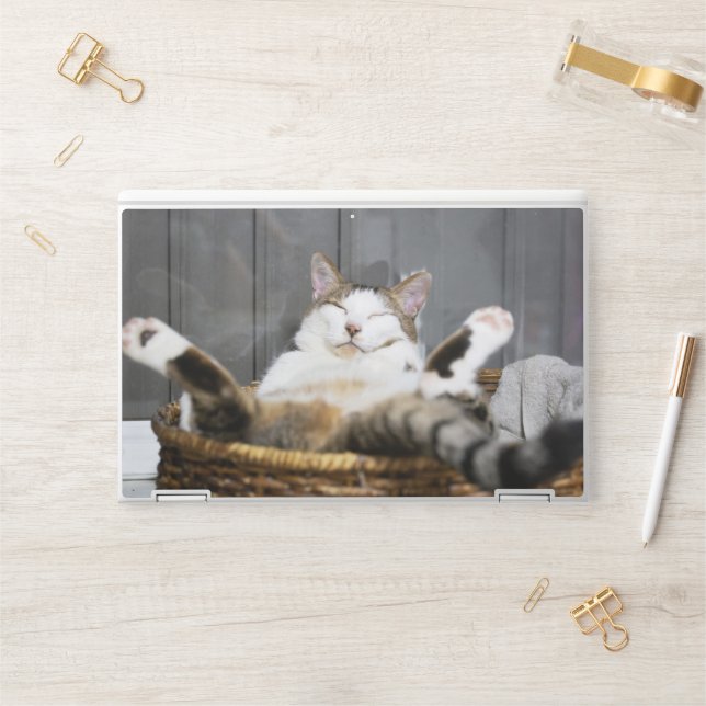 Cutest Baby Animals | Cat in Bed HP Laptop Skin (Desk)
