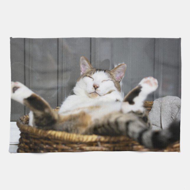 Cutest Baby Animals | Cat in Bed Kitchen Towel (Horizontal)
