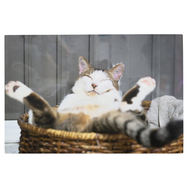 Cutest Baby Animals | Cat in Bed Metal Print (Front)