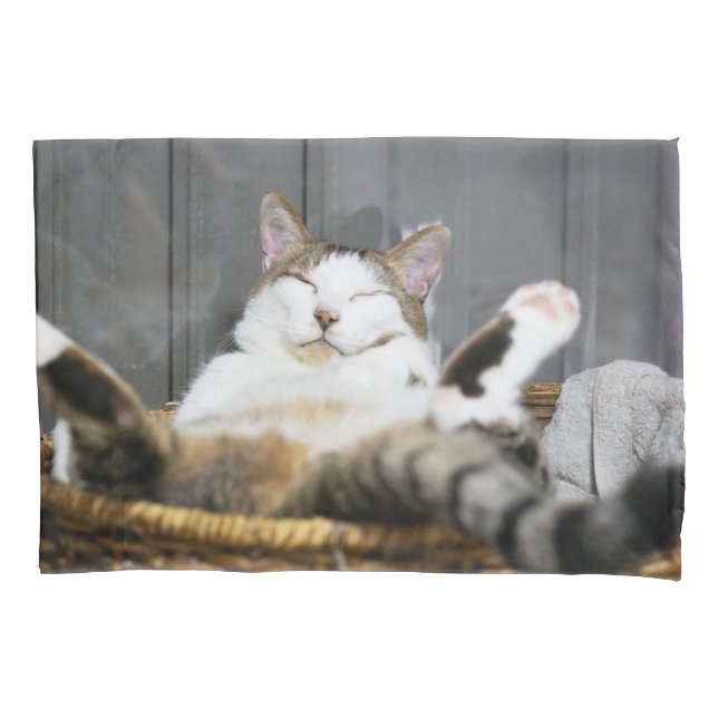 Cutest Baby Animals | Cat in Bed Pillow Case (Front)