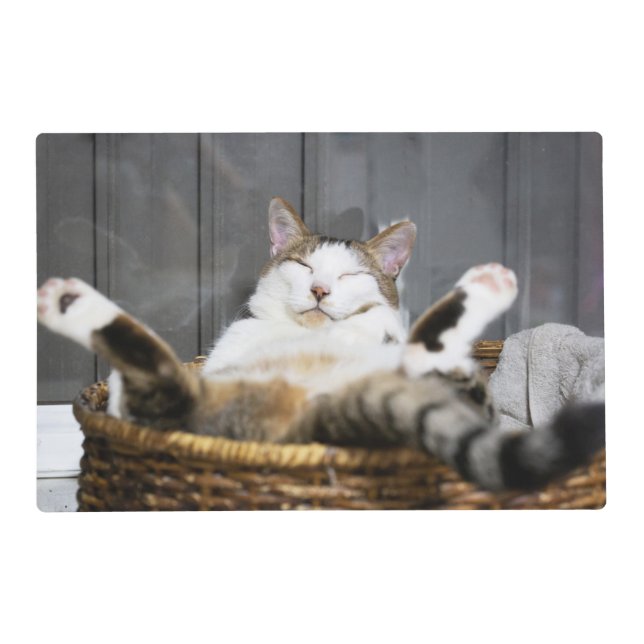 Cutest Baby Animals | Cat in Bed Placemat (Front)