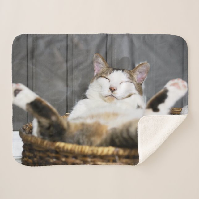 Cutest Baby Animals | Cat in Bed Sherpa Blanket (Front (Horizontal))