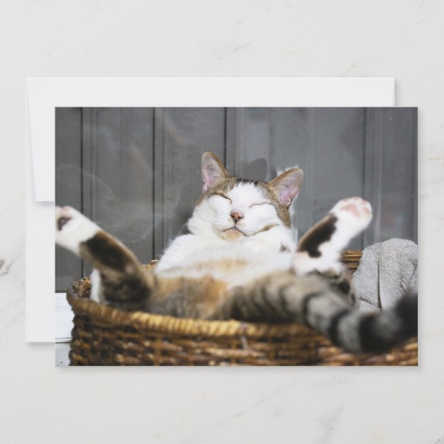 Cutest Baby Animals | Cat in Bed Thank You Card (Front)