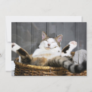 Cutest Baby Animals | Cat in Bed Thank You Card