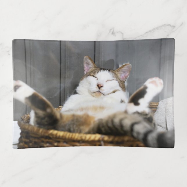 Cutest Baby Animals | Cat in Bed Trinket Tray (Front)