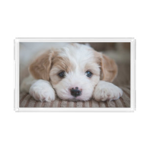Cutest Baby Animals Cavashon Puppy Acrylic Tray