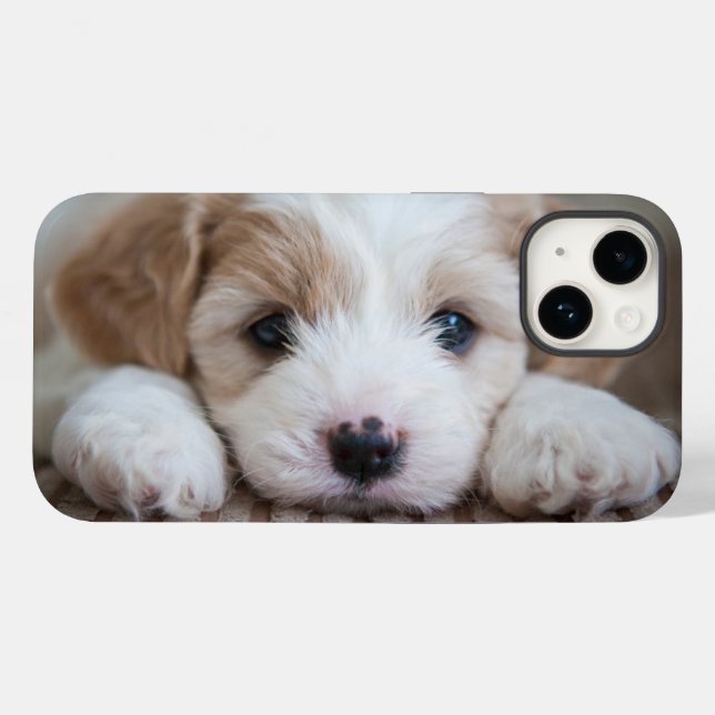 Cutest Baby Animals | Cavashon Puppy Case-Mate iPhone Case (Back (Horizontal))