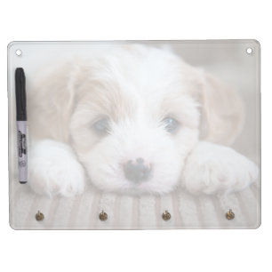 Cutest Baby Animals   Cavashon Puppy Dry Erase Board With Keychain Holder