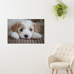 Cutest Baby Animals Cavashon Puppy Foam Board