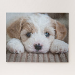 Cutest Baby Animals Cavashon Puppy Jigsaw Puzzle